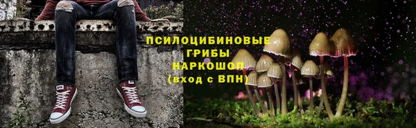 твердый Абинск