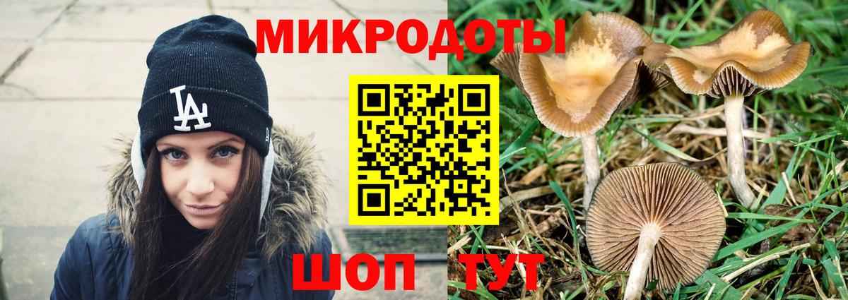 Галлюциногенные грибы Magic Shrooms Энгельс