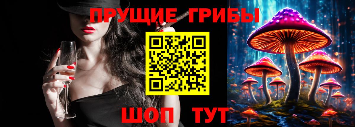 Псилоцибиновые грибы прущие грибы  Вход с VPN  Энгельс 